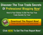 Thumbnail Blogging for Profits Training+Marketing Toolkit - PLR