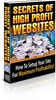 Thumbnail Secrets of High Profit Websites - PLR, MRR