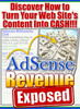 Thumbnail *Hot* Adsense Revenue Exposed with PLR Thumbnail *Hot* Adsense Revenue Exposed with PLR