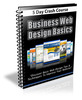 Thumbnail Business Web Design Basics - MRR/Giveaway Report