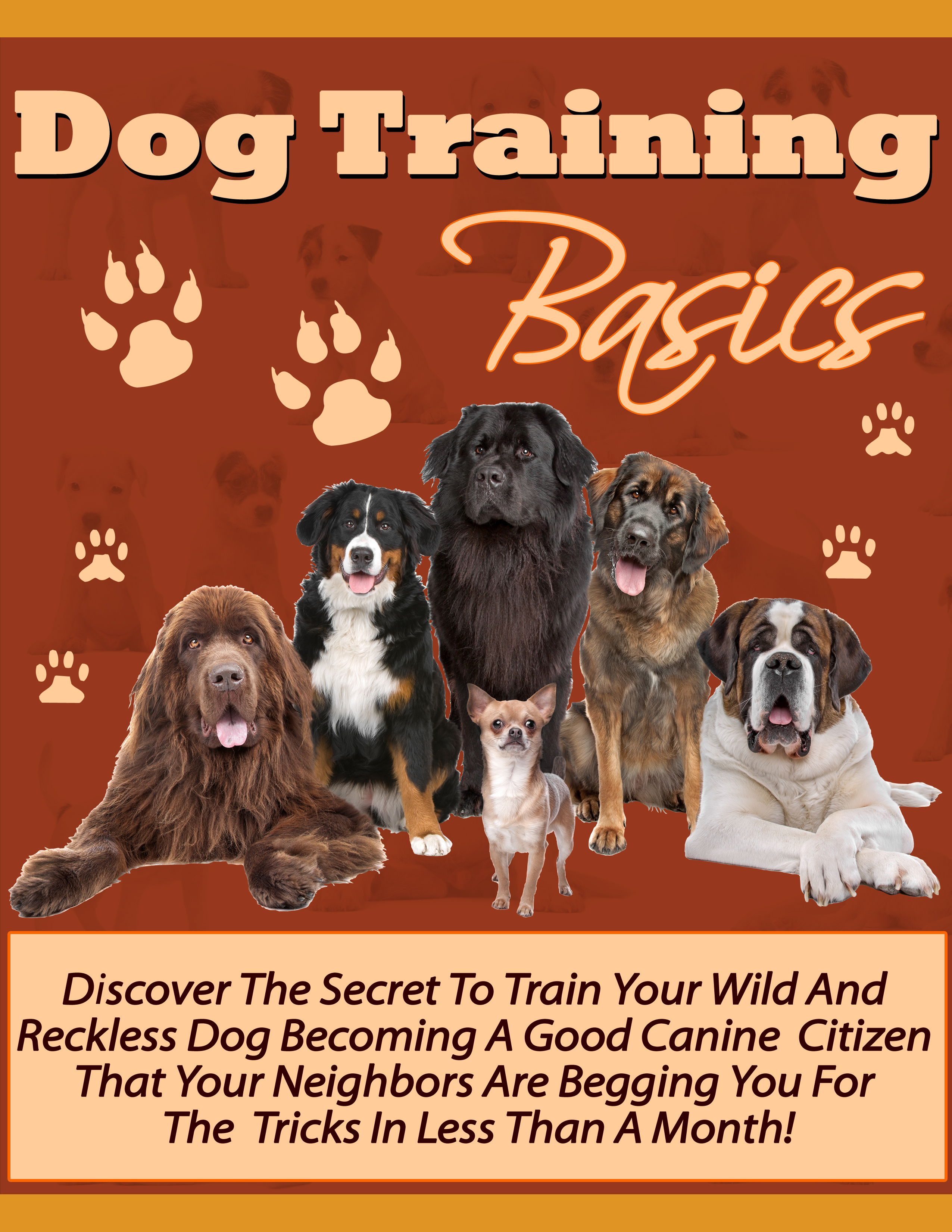 Product picture Dog Training Basics MRR Ebook