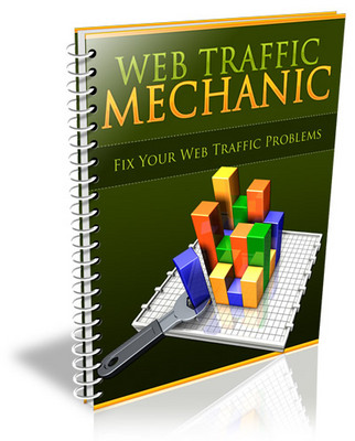 Product picture Web Traffic Mechanic Report - MRR