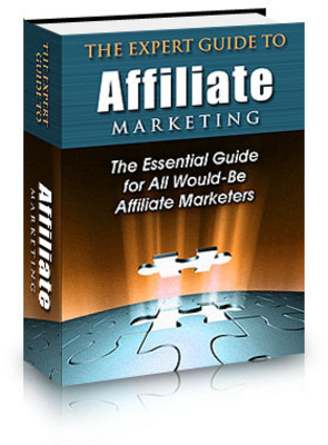 Product picture The Expert Guide to  Affiliate Marketing - PLR,MRR