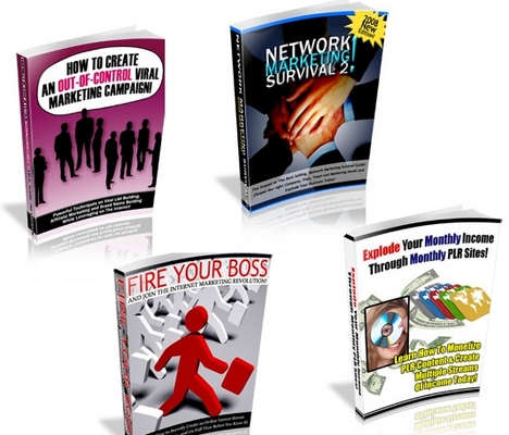 Product picture 4 No Restriction PLR eBooks with Reseller Website