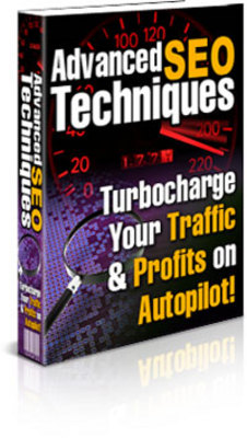 Product picture *Hot* Advanced SEO Techniques with PLR
