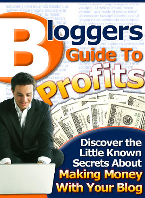 Product picture *New* Bloggers Guide to Profits with PLR